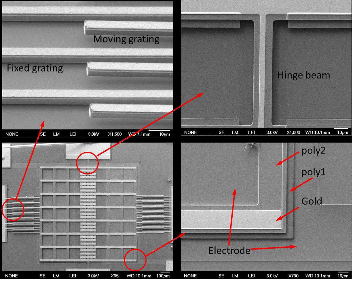 SEM of the MEMS microphone