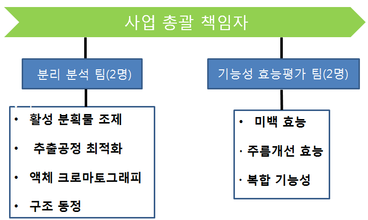 개발 조직도에 따른 소요 인력