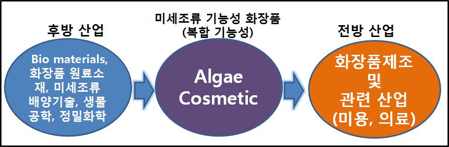 미세조류를 이용한 기능성 화장품 산업의 산업구조도