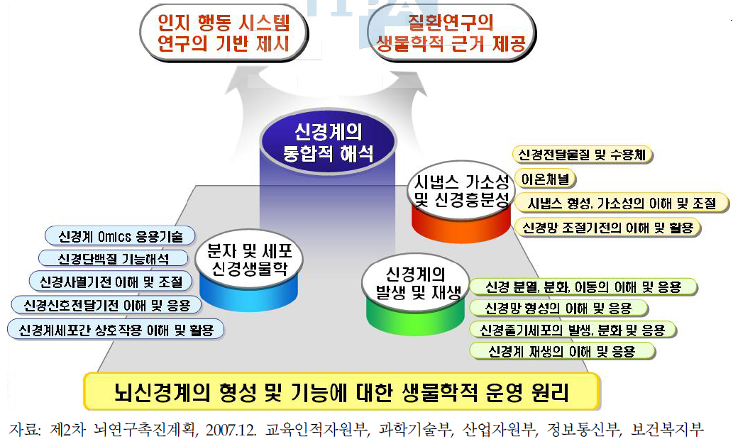 뇌신경계의 통합적 해석에 대한 연구 분야의 세분류(분자 및 세포신경생물학, 신경계의 발생 및 재생, 시냅스 가소성 및 신경흥분성)와 응용 및 파급효과