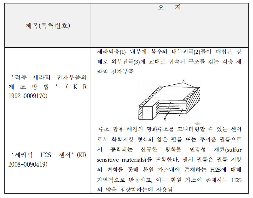 매립형 전극을 구비한 센서와 관련된 국내 주요 특허