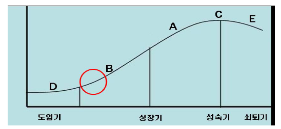 신청기술의 기술수명주기상 위치