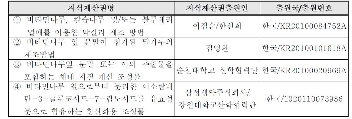 국내외 관련지식재산권 현황