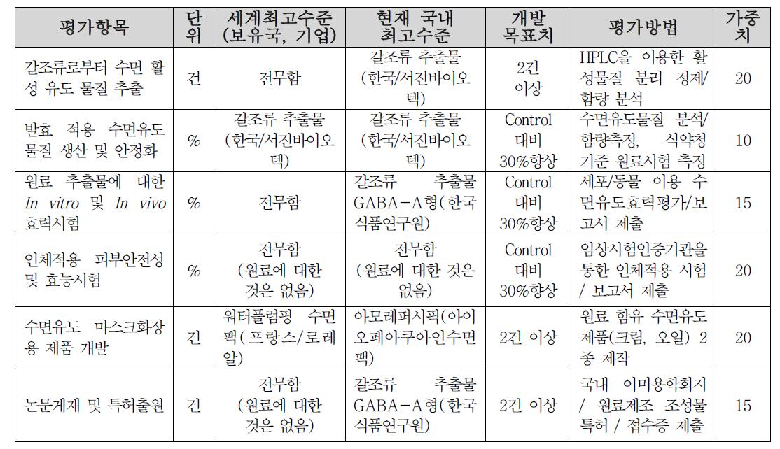 개발기술 평가항목