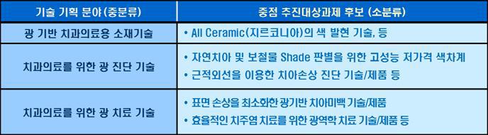 중점 추진 대상 과제 후보 (소분류) 예