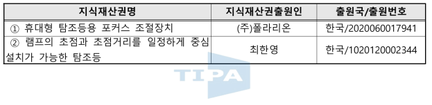 국내외 관련지식재산권 현황