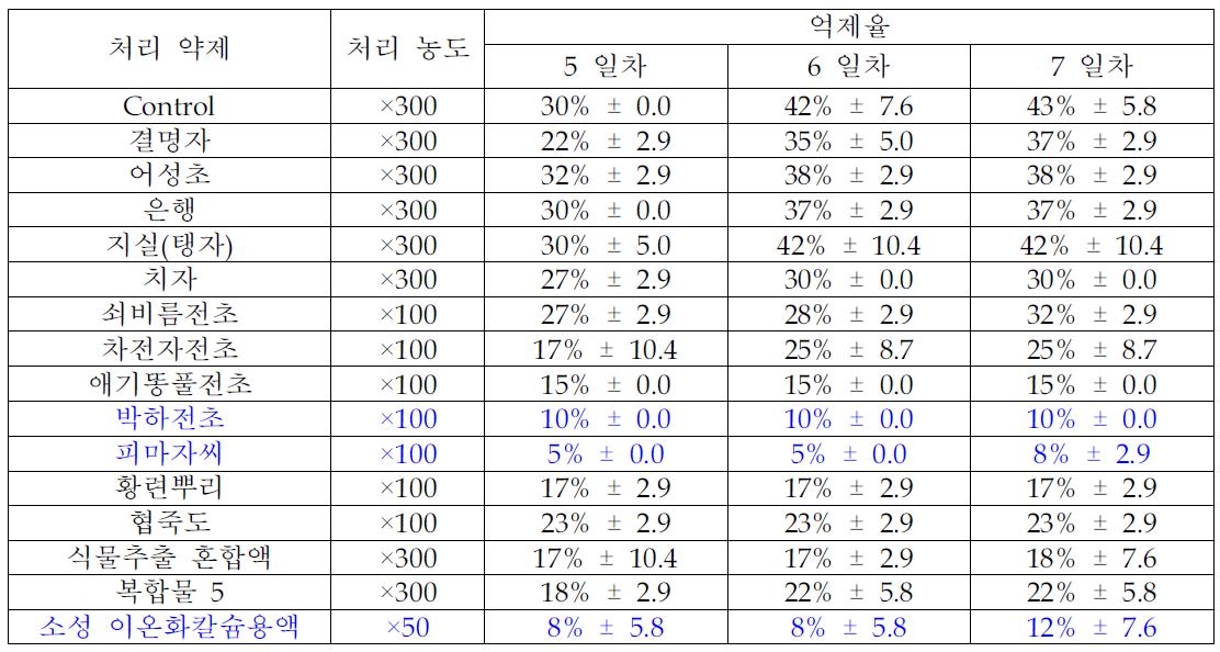 시간에 따른 약제별 오이탄저병 발병률