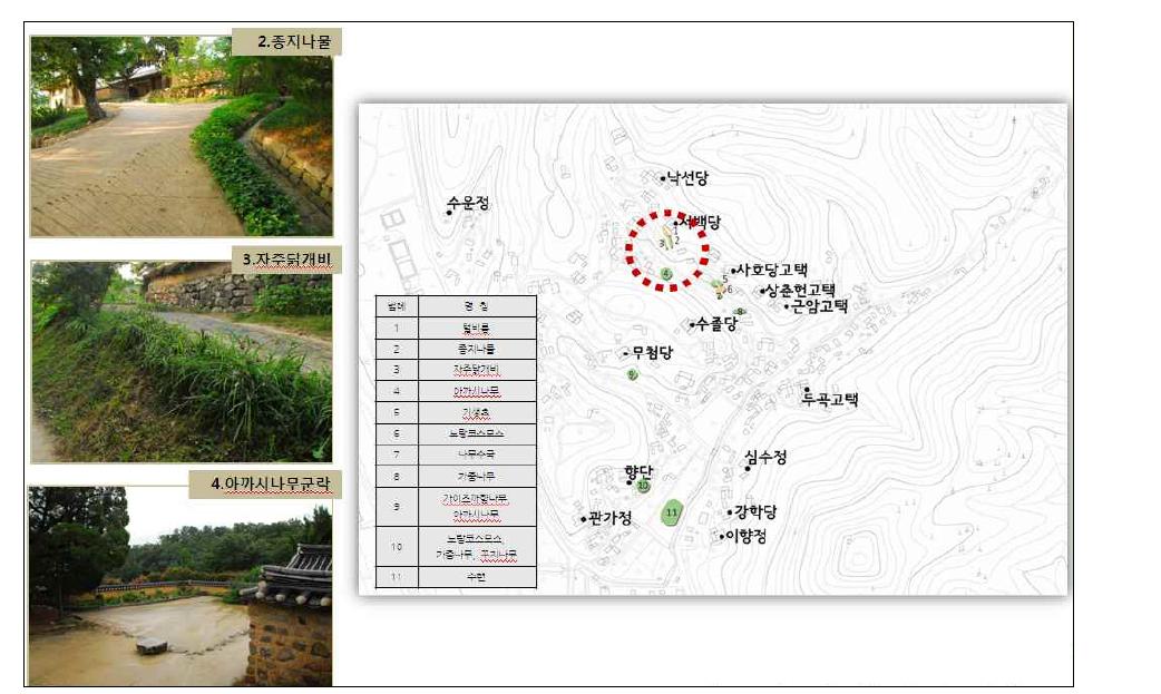 양동마을 외래식물 경관실태 1