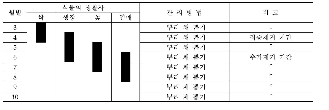 서양금혼초의 월별 관리방법