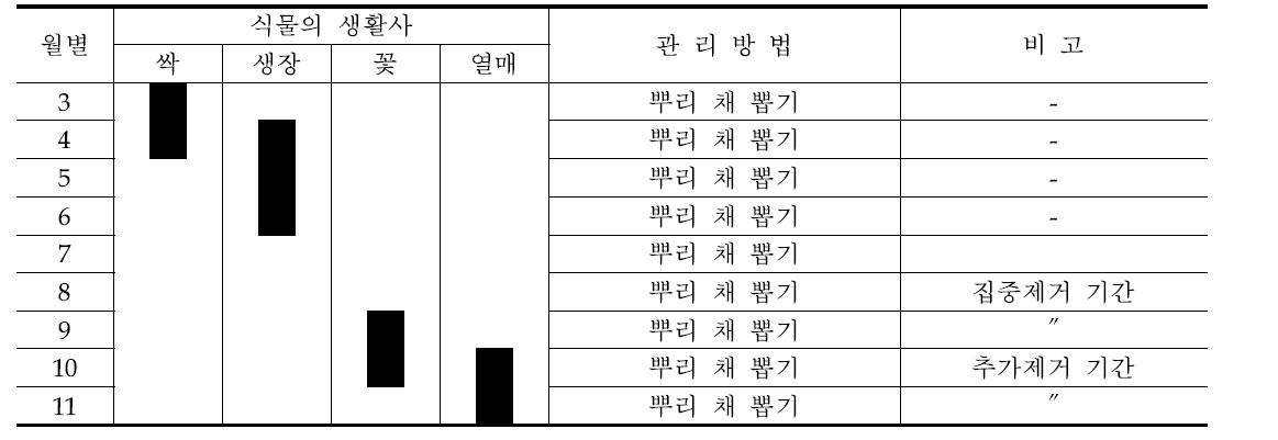 미국쑥부쟁이의 월별 관리방법