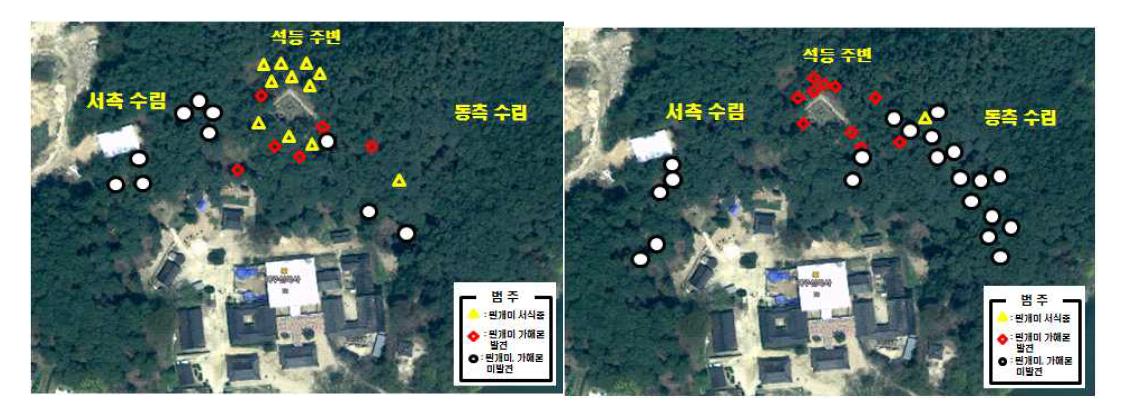 신륵사 주변 산림의 흰개미 분포조사 결과(좌: 2013년, 우: 2014년)