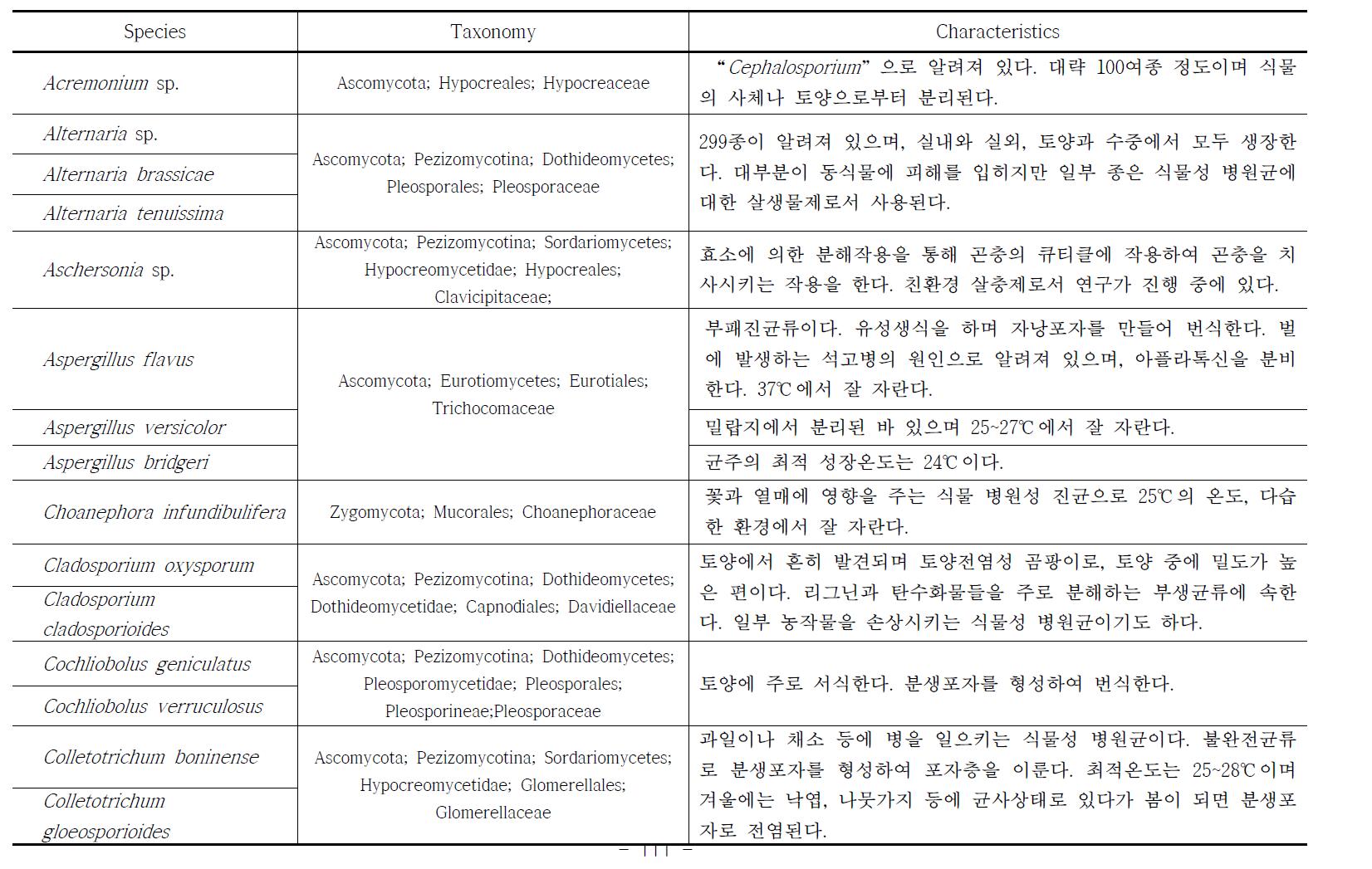 종동정된 곰팡이의 특성