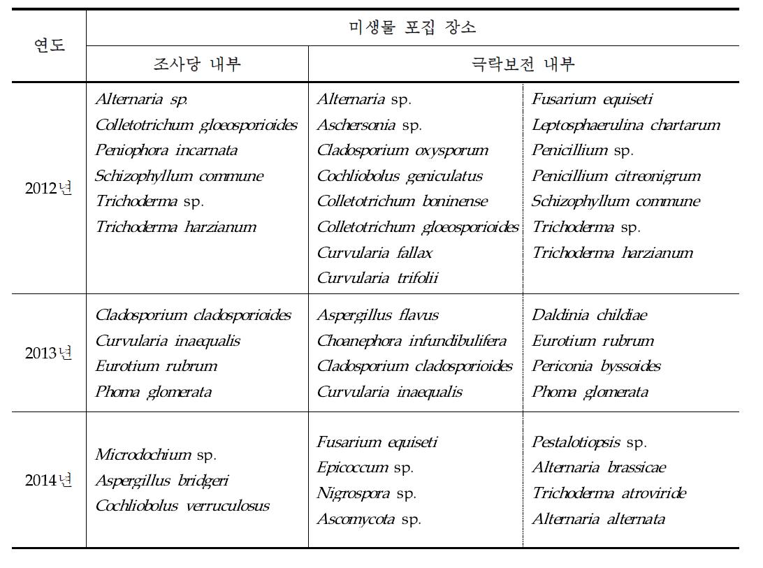 곰팡이 종동정 결과 비교