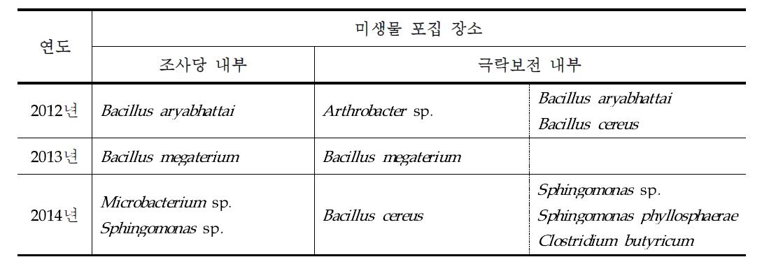 세균 종동정 결과 비교