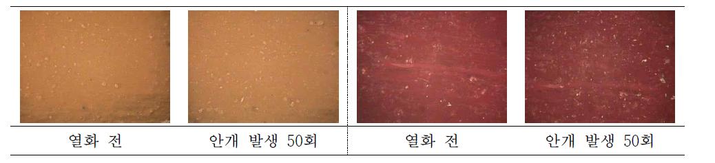 단청류 열화 전, 후 모습 비교