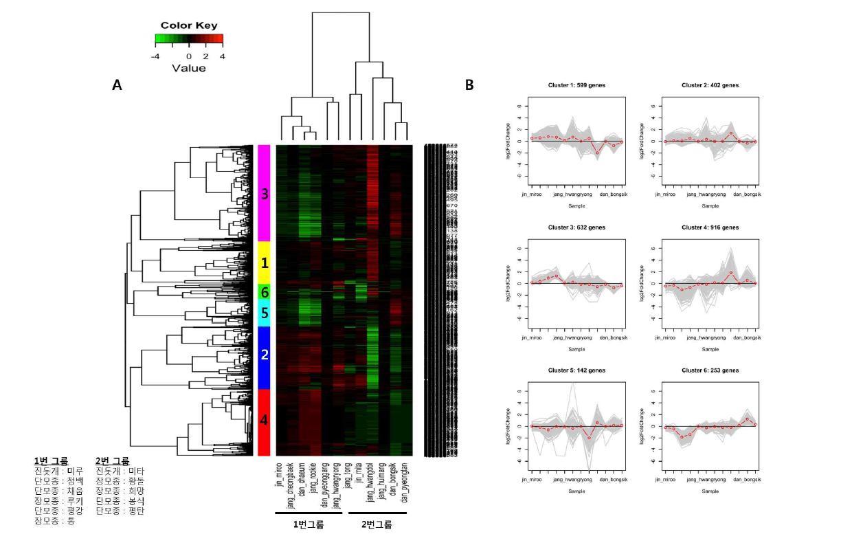 2차 DEG의 군집화 결과 – 2차