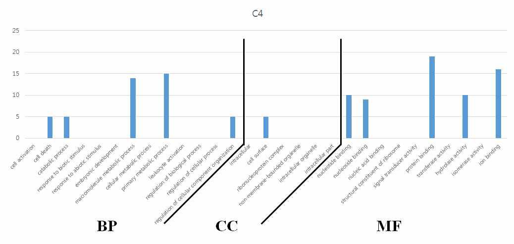 유전자 기능 분석 결과 – 4번 군집