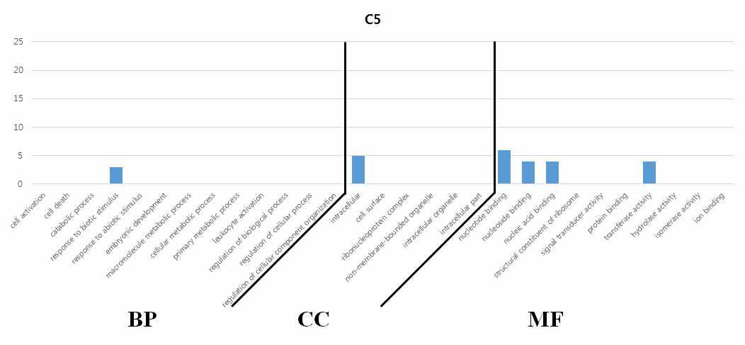유전자 기능 분석 결과 – 5번 군집