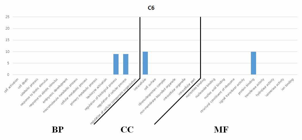 유전자 기능 분석 결과 – 6번 군집