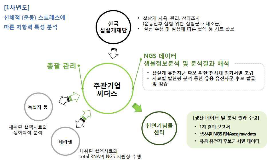 1차년도 연구개발 추진전략 (Promote strategy of 1st year)