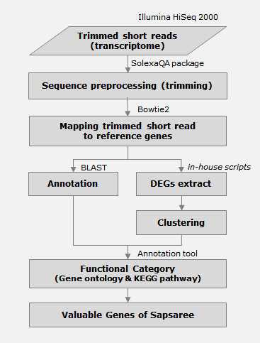 RNAseq 데이터의 생물정보분석 파이프라인