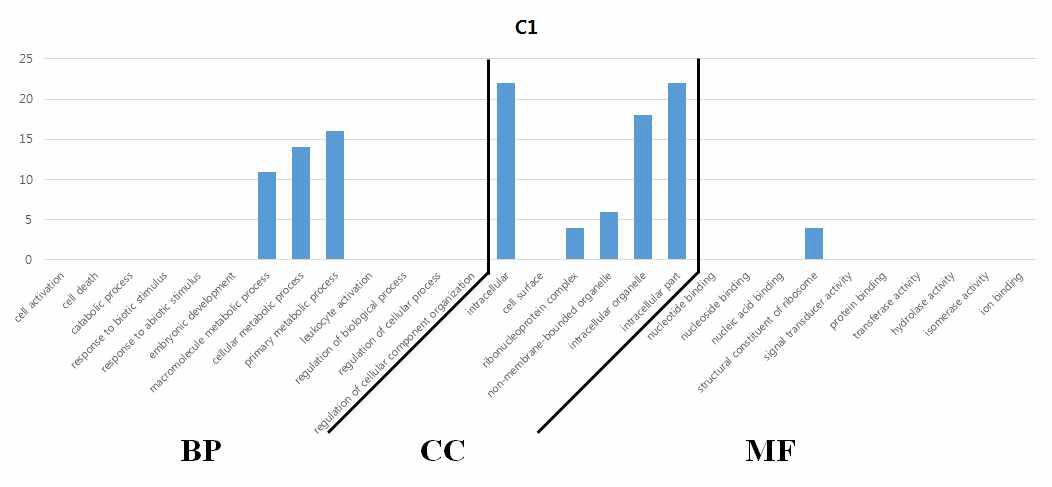유전자 기능 분석 결과 – 1번 군집