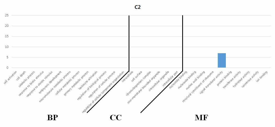 유전자 기능 분석 결과 – 2번 군집