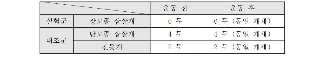 실험 계획 변경 후 필요 개체 수 (Number of dogs after change experiment plan)