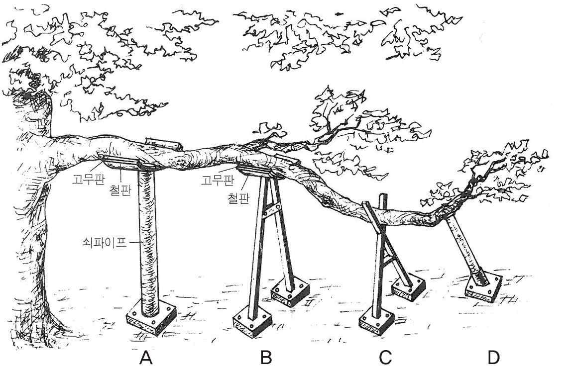 지주의 여러 가지 형태. (Various type of tree support system)