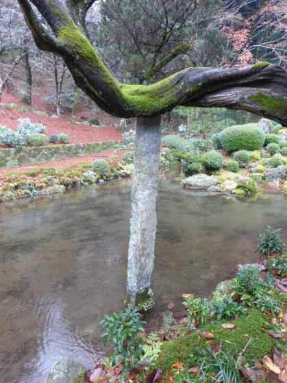 천여사 향나무의 I형 석재 지주 (I-typed stone support of juniper of Cheonyeosa temple)