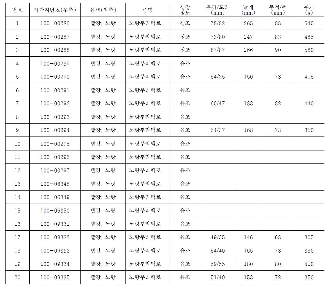 노랑부리백로 가락지 부착 결과