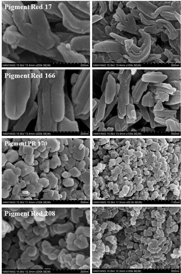 Pigment Red 의 FE-SEM