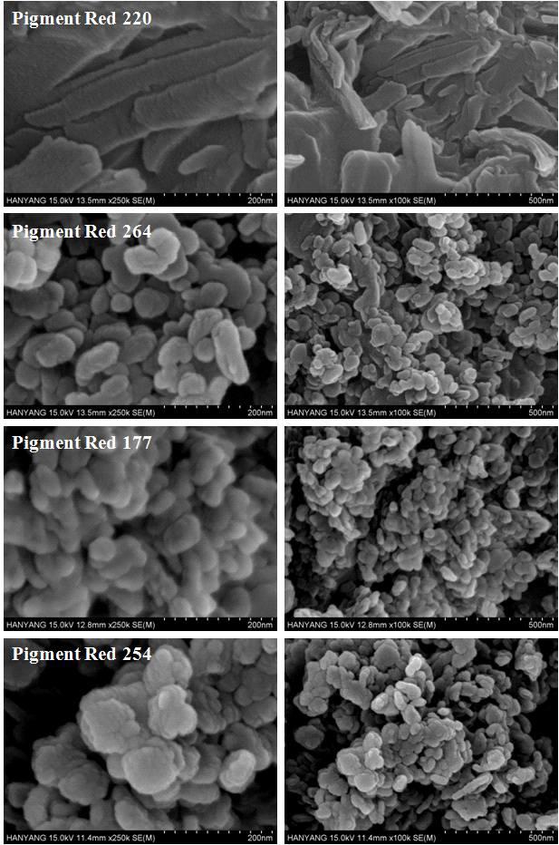 Pigment Red 의 FE-SEM