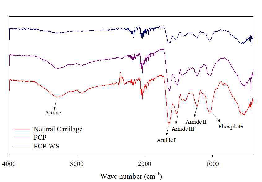 PCP-WS의 ATR-IR spectrum