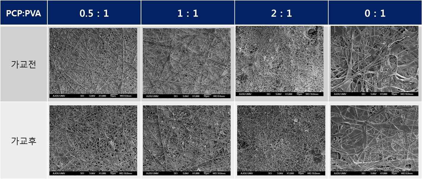 PCP/PVA 나노섬유의 가교 전, 후 주사전자현미경 사진