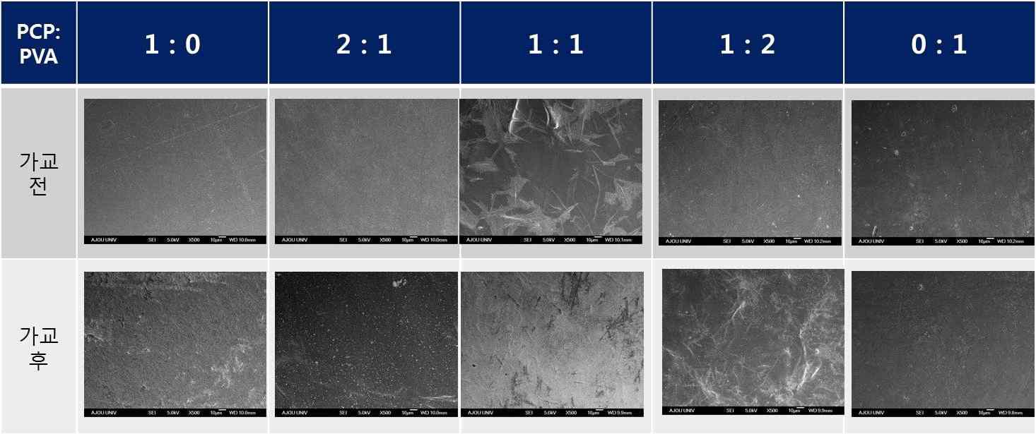 PCP/PVA 생체막의 가교 전, 후 주사전자현미경 사진