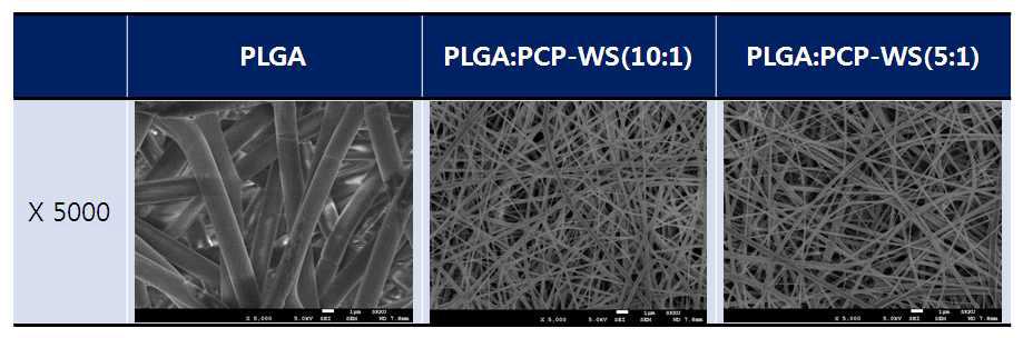 PLGA와 PCP-WS 블랜드를 사용하여 제작한 나노파이버