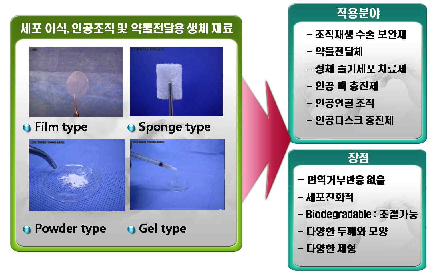 주관기관에서 개발한 세포유래 생체소재