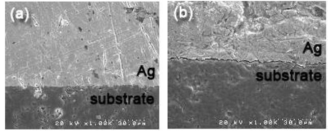 SEM photographs for cross section of external electrodes on Alumina substrate