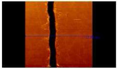 AFM image of the sample