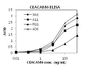 CEACAM-6 ELISA를 이용한 항체선정