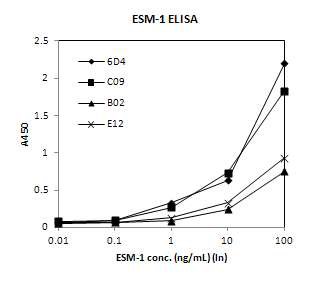 ESM-1 ELISA를 이용한 항체선정