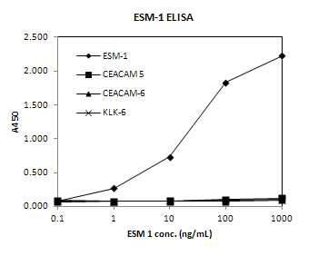 ESM-1 Clone C09의 교차반응 분석