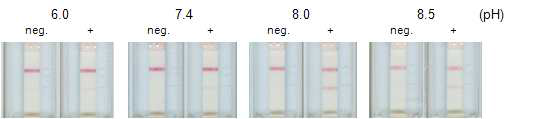 KLK-6 kit의 고정화 pH 최적화 분석-pH 8.0에서 최대 신호를 관찰 할 수 있다.