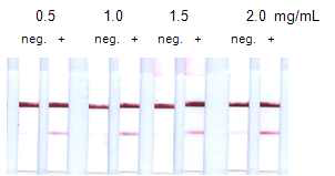 KLK-6 고정화 농도 최적화- 1.5 mg/mL 이상의 농도에서는 신호의 증가없으며, 비특이적 신호의 발생이 관찰됨.