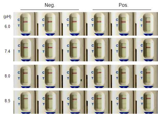 CEACAM-6 kit의 고정화 pH 최적화