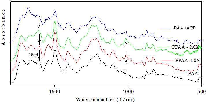 FT-IR spectra of PAA and PPAA, A-PPAAs.