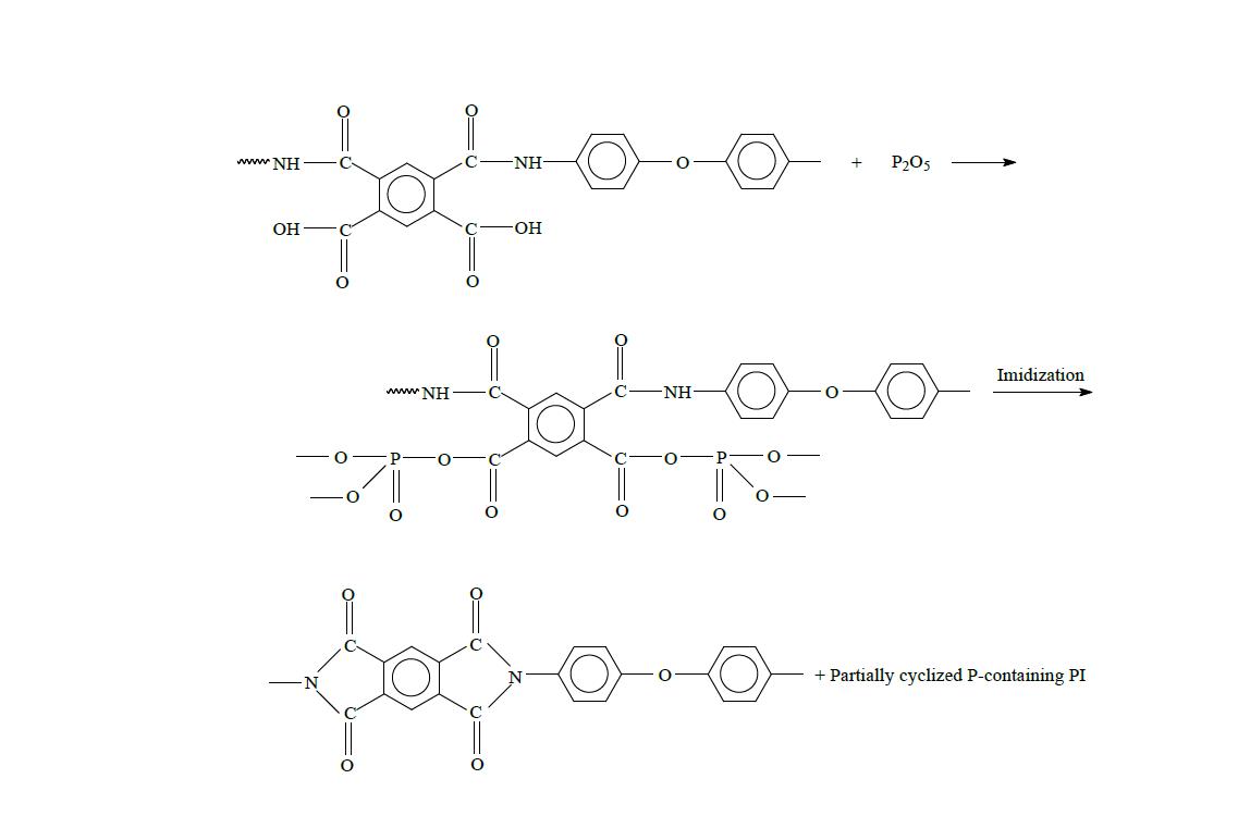 Phosphorylation of PAA