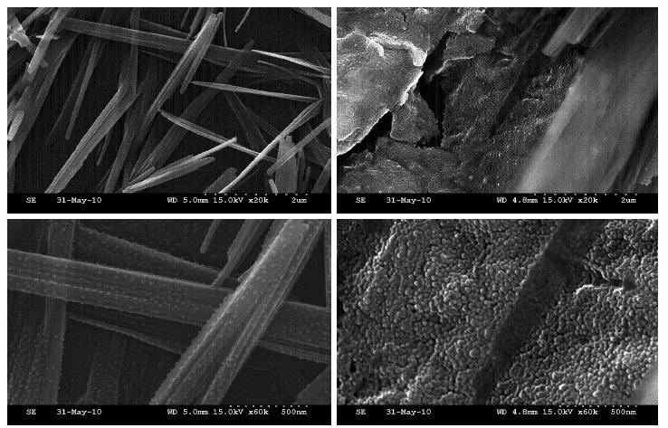 바인더의 파단 전자현미경사진