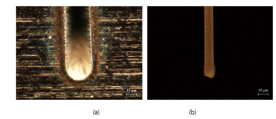Fabricated FMM patterns with a top/bottom width of 21μm/7μm; (a) top surface and (b) bottom surface of a fabricated mask pattern